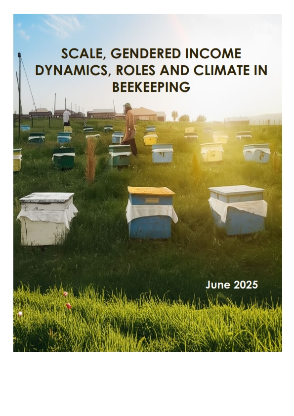 Scale, Gendered Income Dynamics, Roles and Climate in Beekeeping